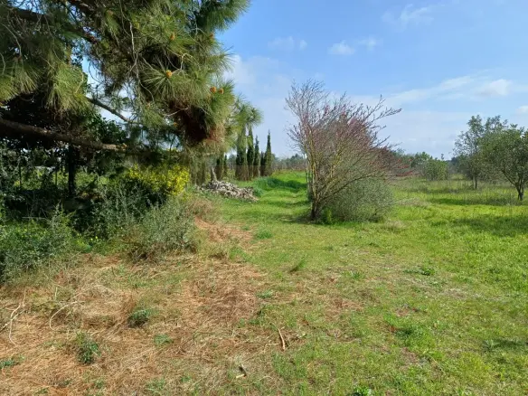 Land In Santa Maria Del Cami, Spain (72 M²)