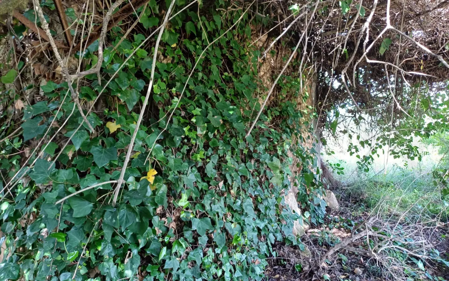 Land In Santa Maria Del Cami, Spain (72 M²)