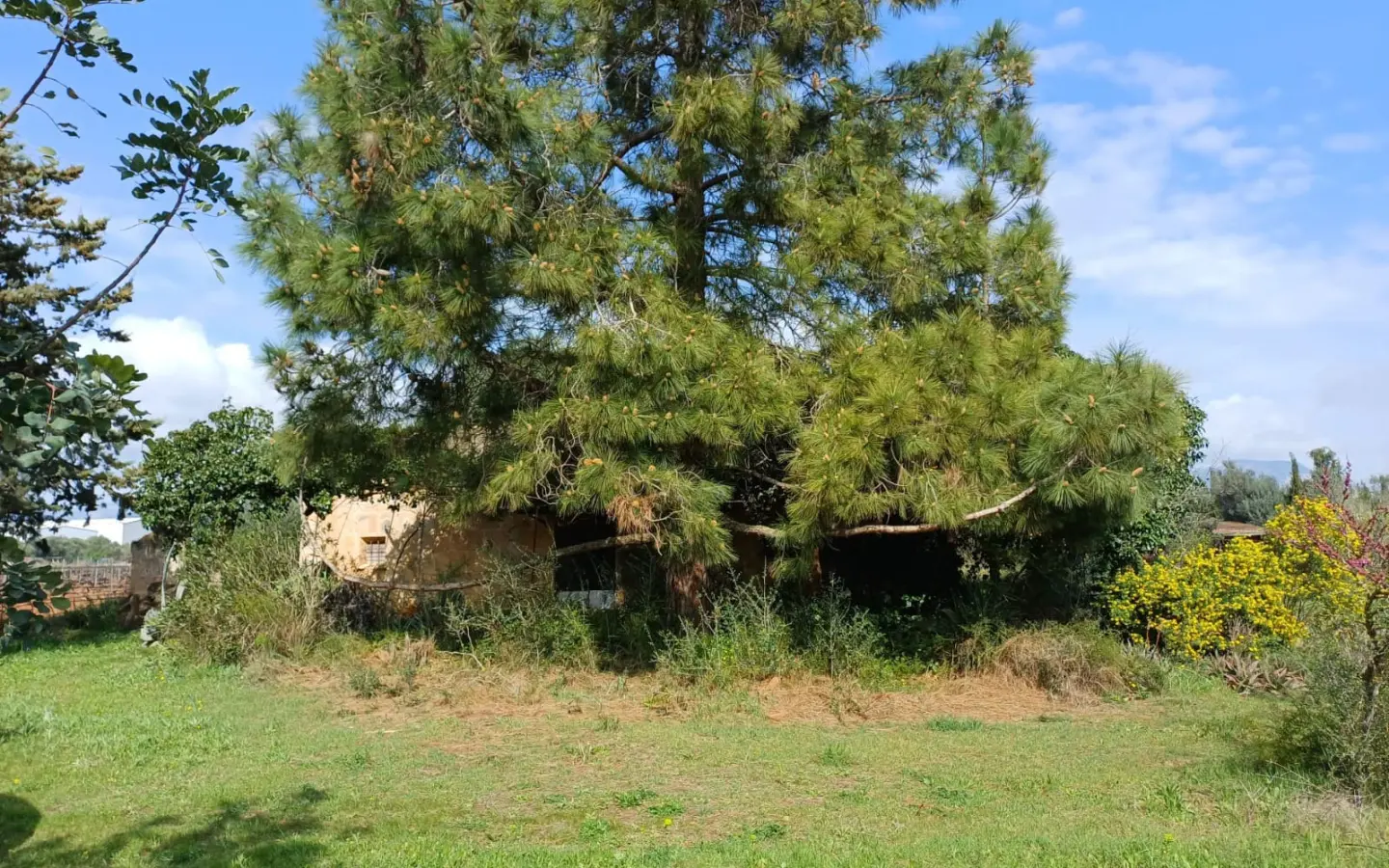 Land In Santa Maria Del Cami, Spain (72 M²)