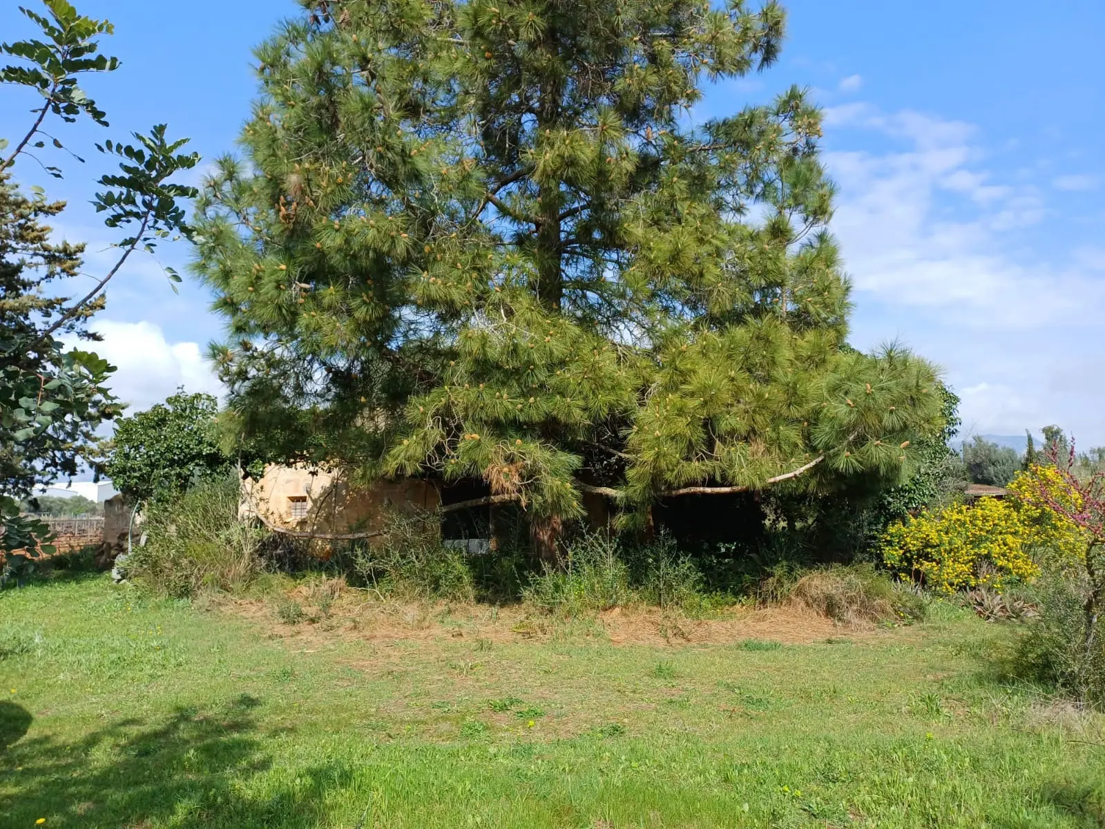 Land In Santa Maria Del Cami, Spain (72 M²)