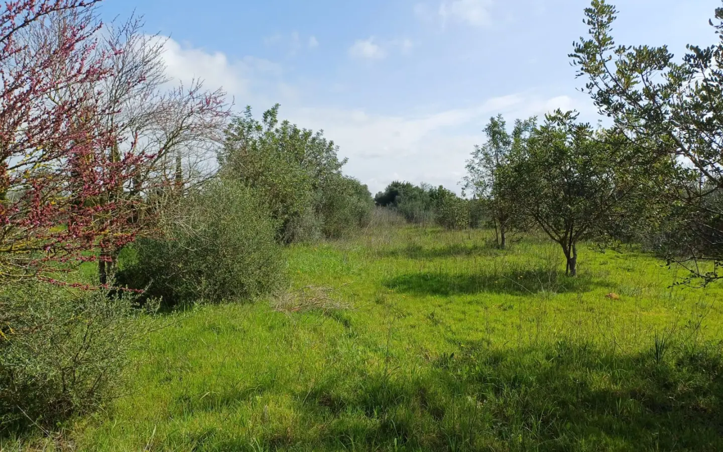 Land In Santa Maria Del Cami, Spain (72 M²)