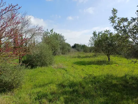 Land In Santa Maria Del Cami, Spain (72 M²)