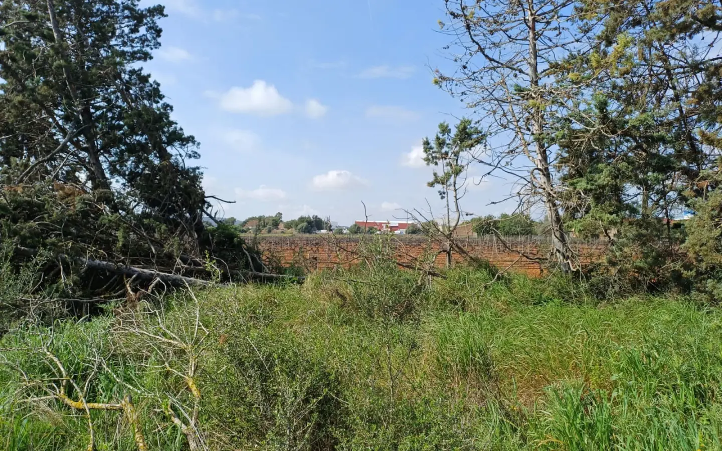 Land In Santa Maria Del Cami, Spain (72 M²)