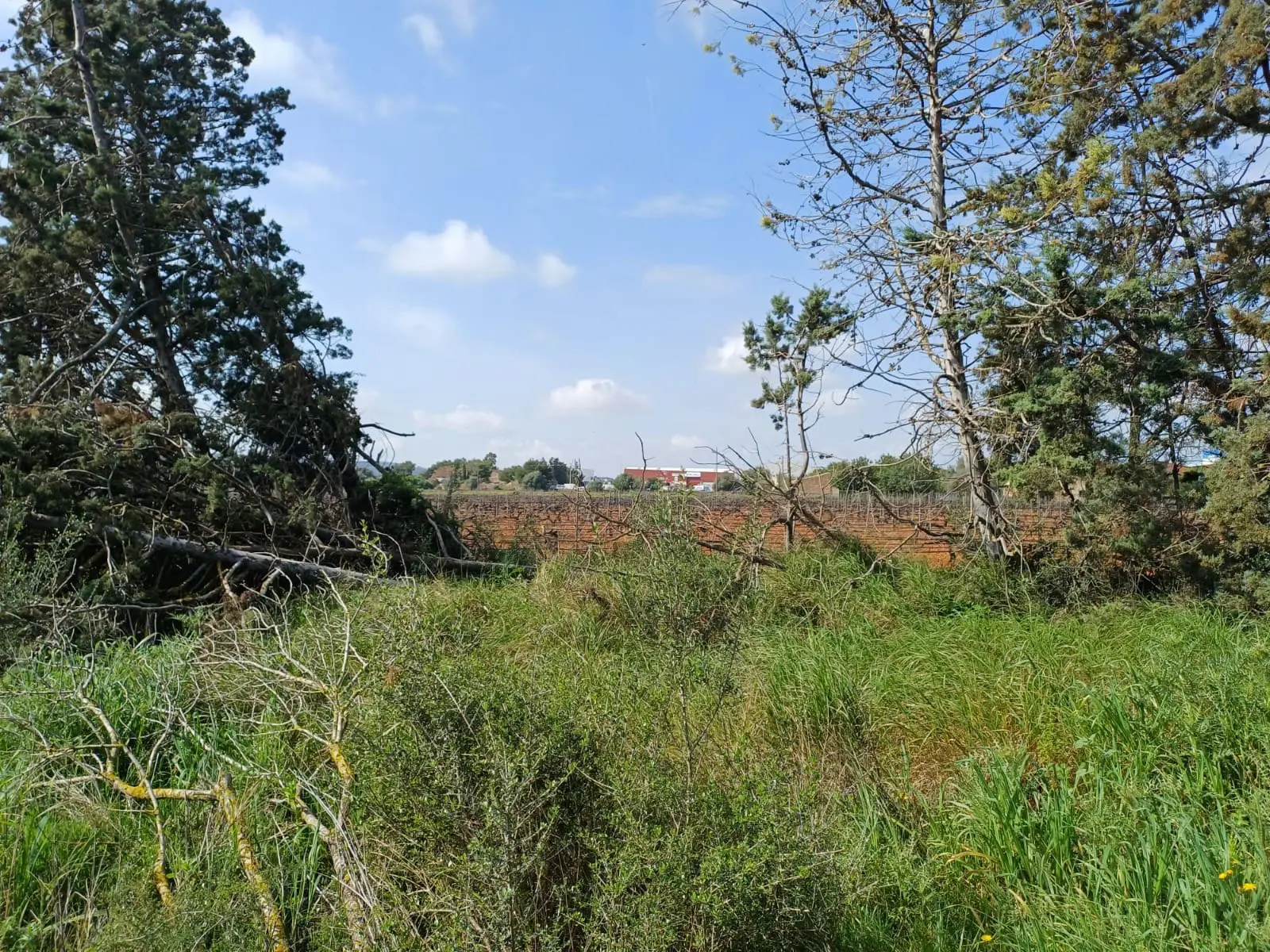 Land In Santa Maria Del Cami, Spain (72 M²)