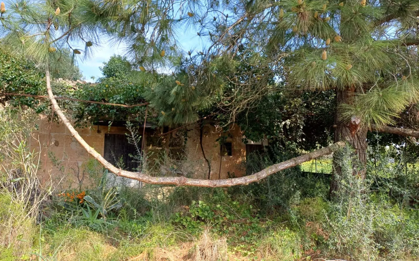Land In Santa Maria Del Cami, Spain (72 M²)
