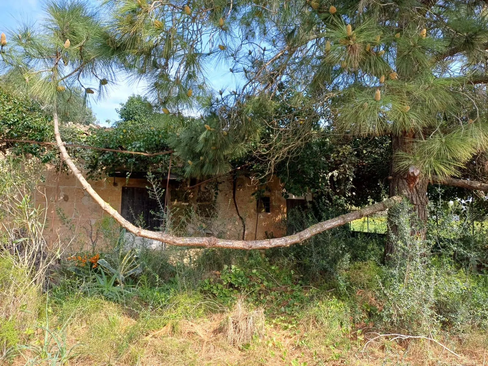 Land In Santa Maria Del Cami, Spain (72 M²)