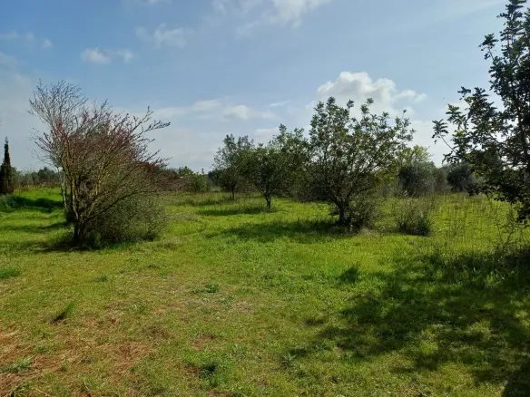 Land In Santa Maria Del Cami, Spain (72 M²)