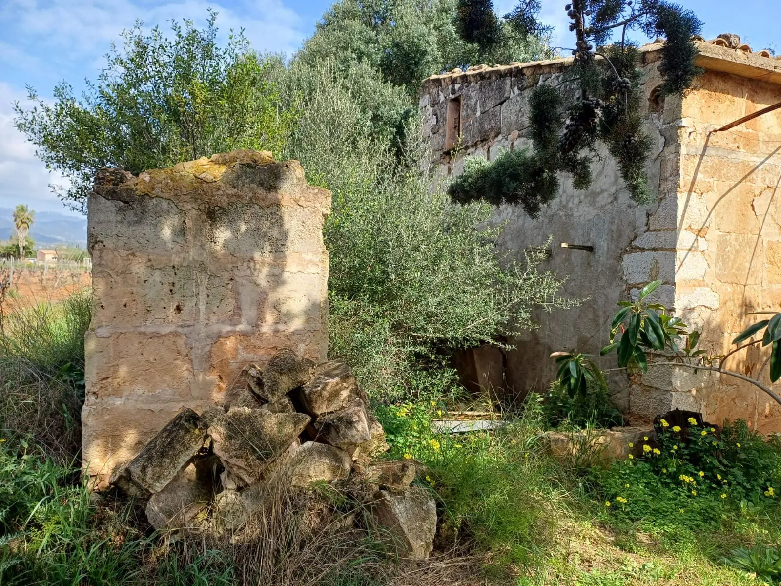 Land In Santa Maria Del Cami, Spain (72 M²)