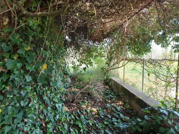 Land In Santa Maria Del Cami, Spain (72 M²)