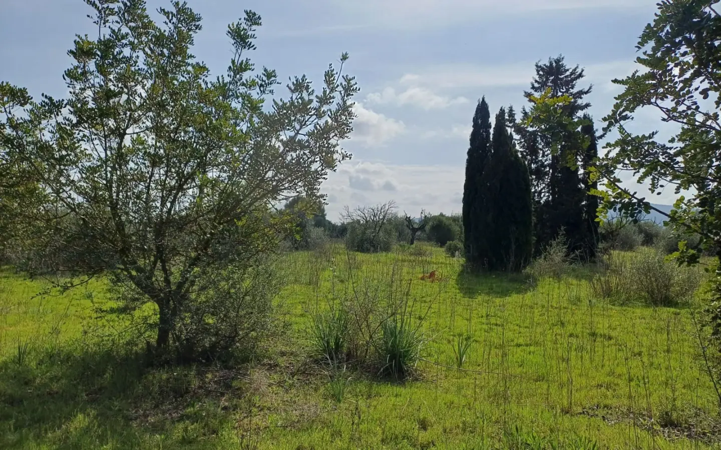 Land In Santa Maria Del Cami, Spain (72 M²)