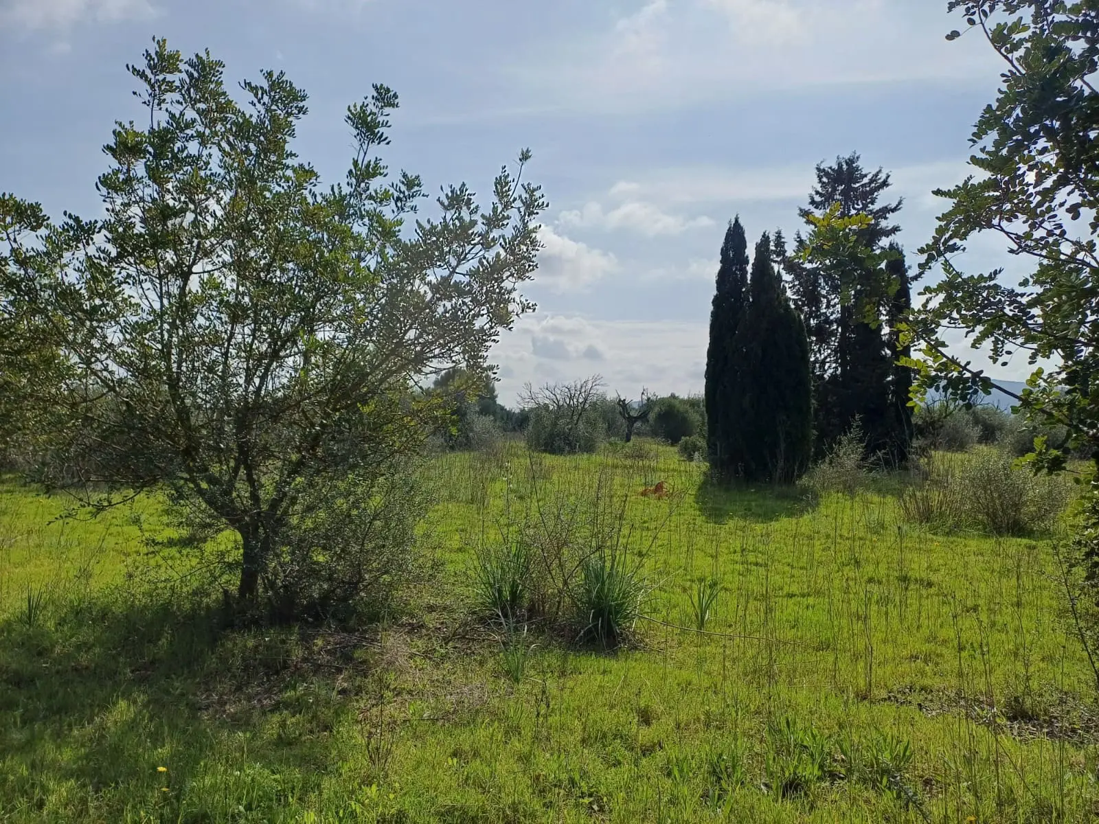 Land In Santa Maria Del Cami, Spain (72 M²)