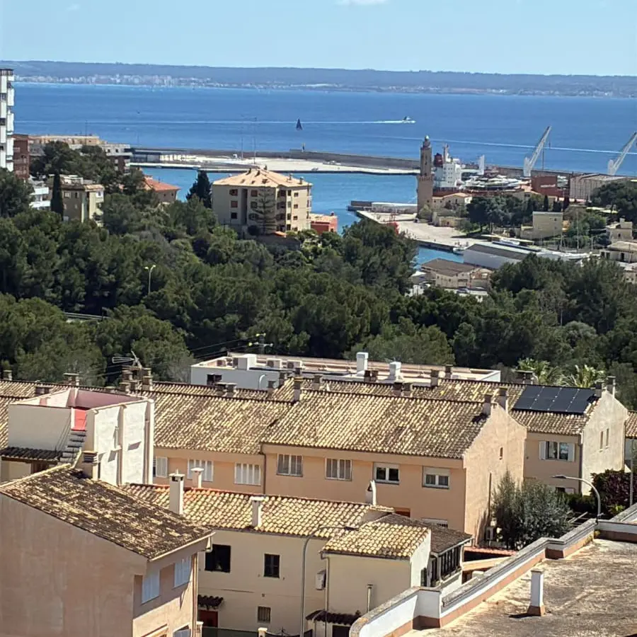 1-bedroom Apartment In Palma De Mallorca, Spain (70 M²)