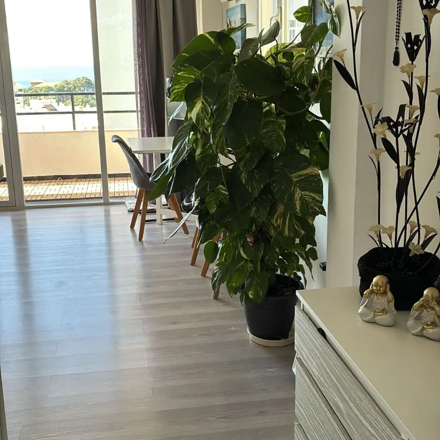 1-bedroom Apartment In Palma De Mallorca, Spain (70 M²)
