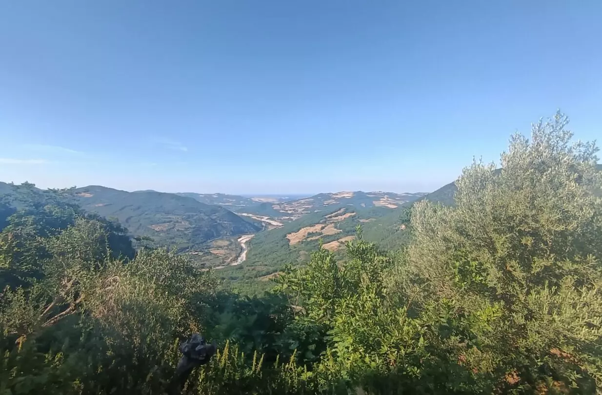 90 Sqm Italian Stone-village Townhouse With Private Garden, Shed & Optional Olive Grove