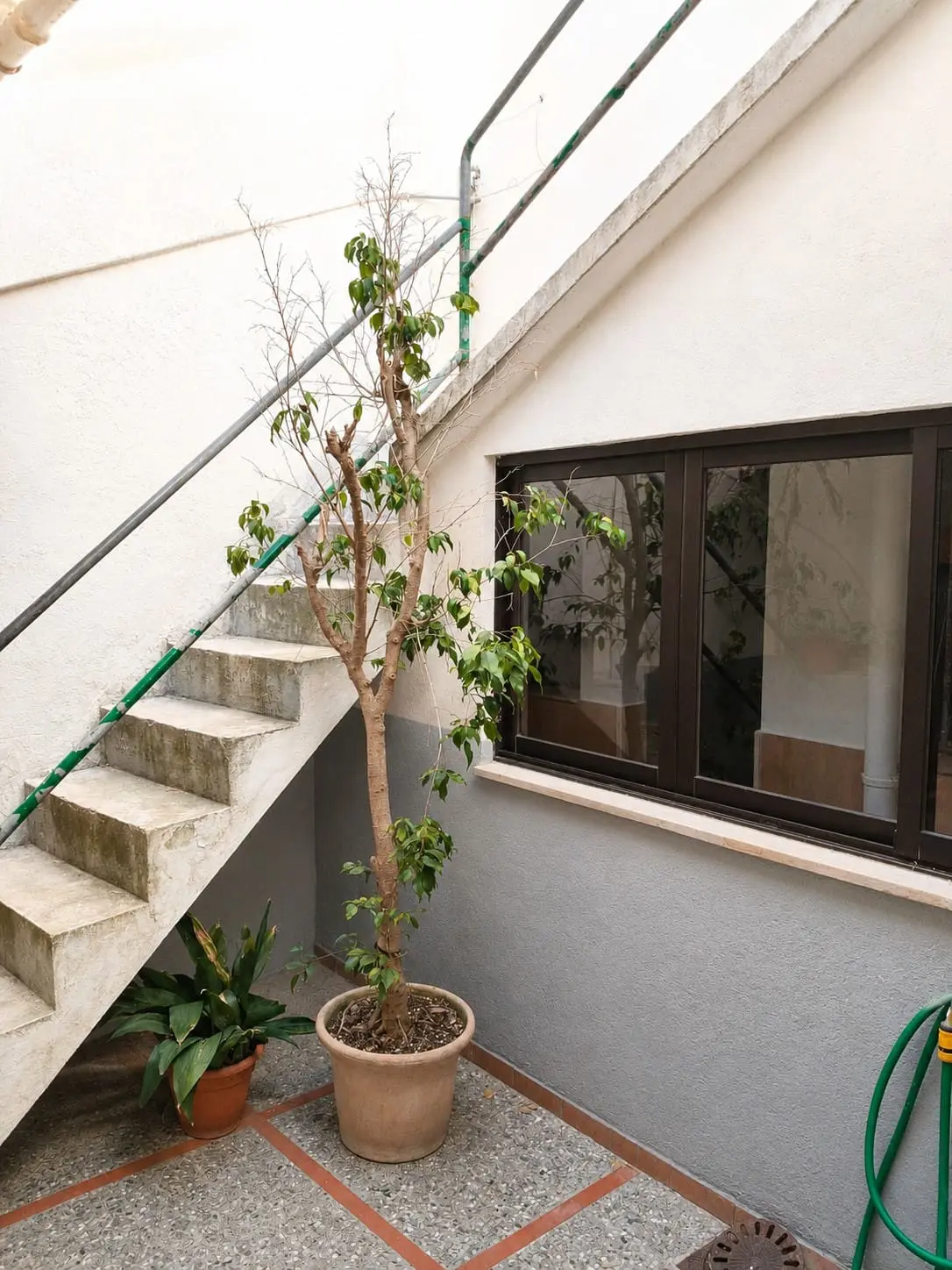5-bedroom Village House In Pollensa, Spain (246 M²)