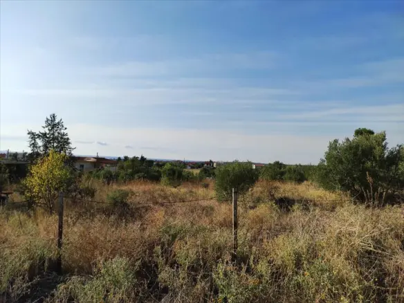 Land Of 3685 M² In Chalkidiki