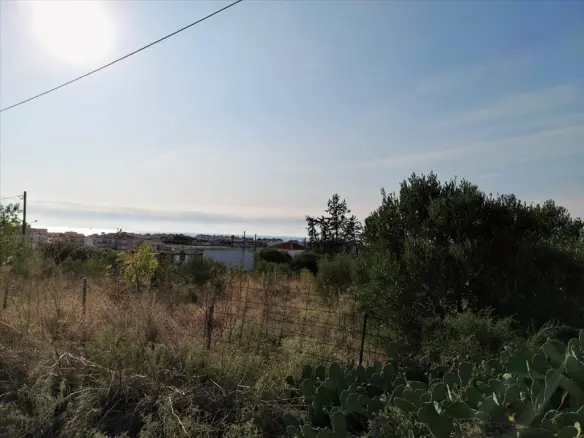 Land Of 3685 M² In Chalkidiki