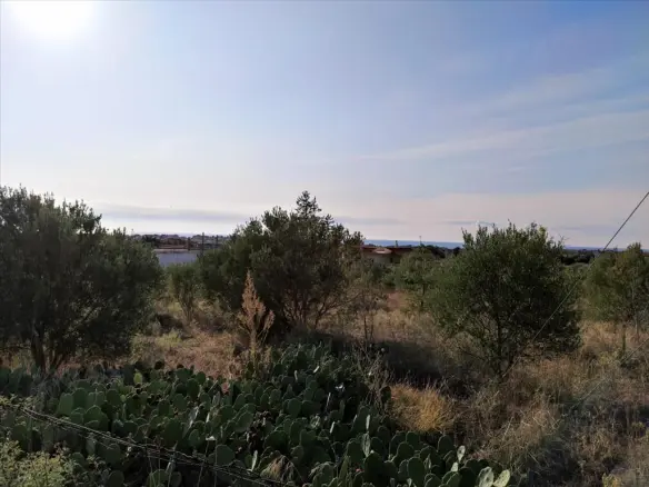 Land Of 3685 M² In Chalkidiki
