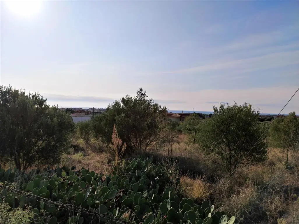 Land Of 3685 M² In Chalkidiki