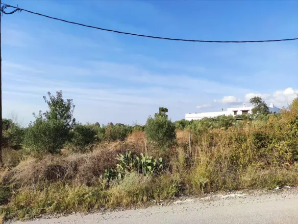 Land Of 3685 M² In Chalkidiki