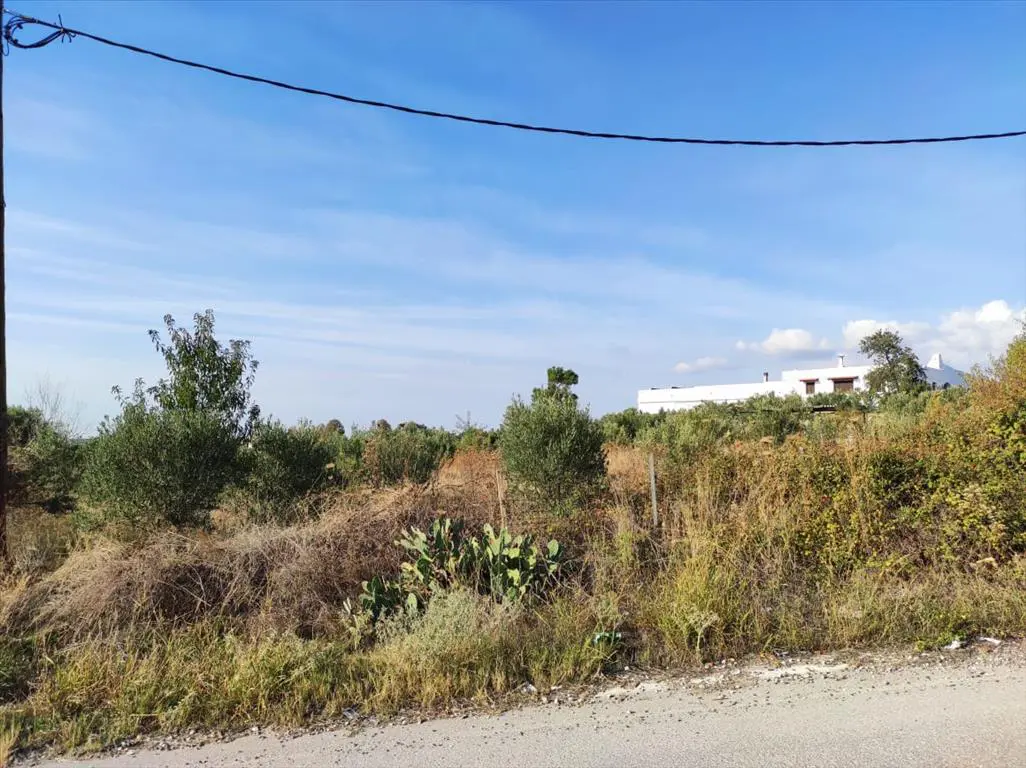 Land Of 3685 M² In Chalkidiki