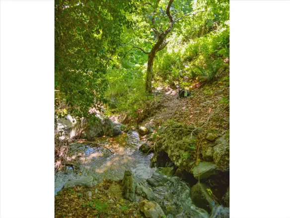For Sale Land 43000 M² In Volos-pilio