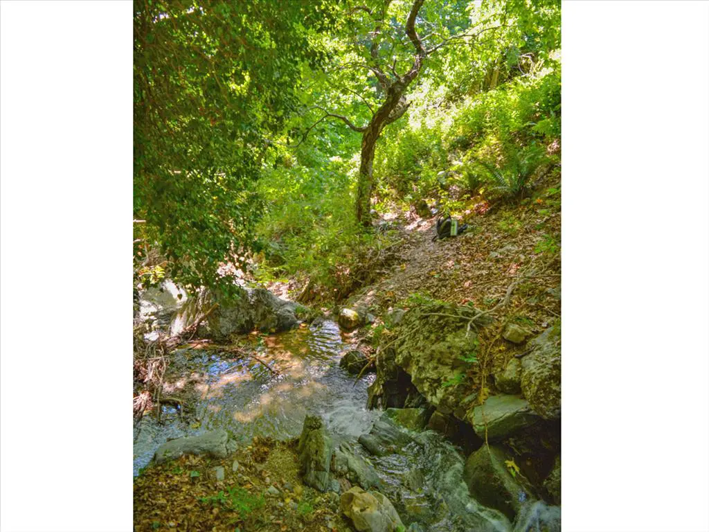 For Sale Land 43000 M² In Volos-pilio