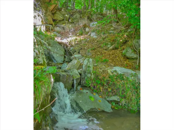 For Sale Land 43000 M² In Volos-pilio