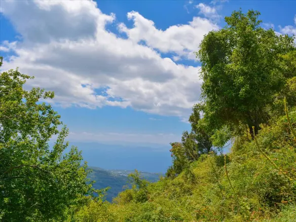 For Sale Land 43000 M² In Volos-pilio