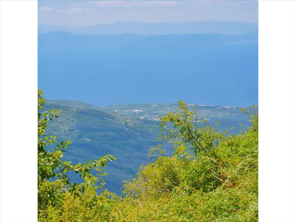 For Sale Land 43000 M² In Volos-pilio