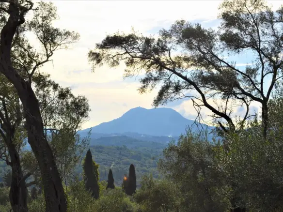 Land Of 3136 M² In Corfu