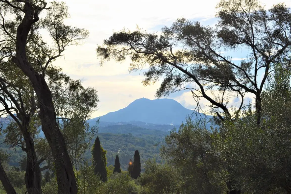 Land Of 3136 M² In Corfu