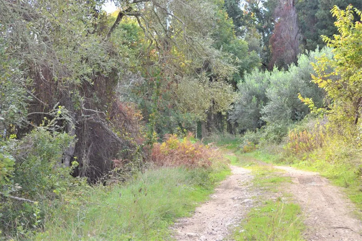 Land Of 3136 M² In Corfu