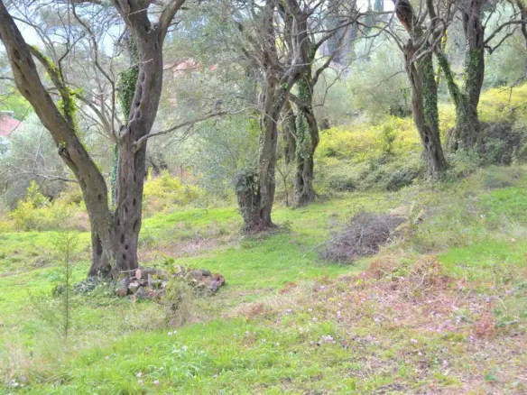 Land Of 3136 M² In Corfu