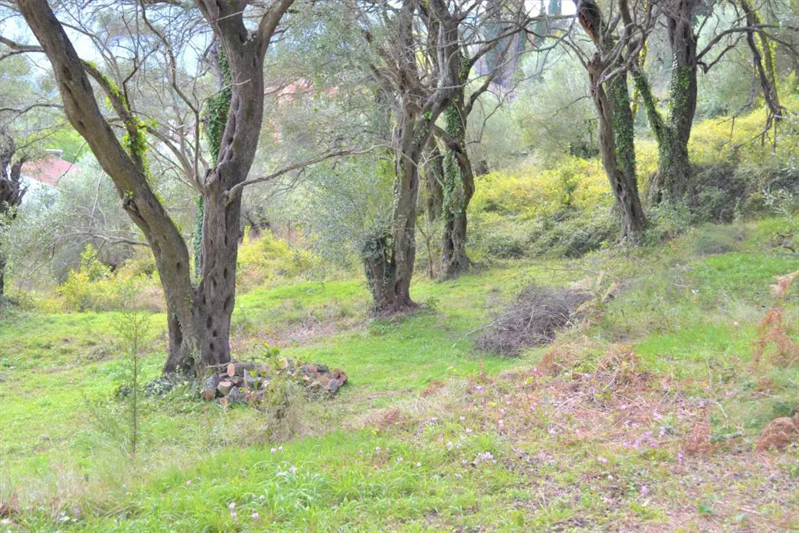 Land Of 3136 M² In Corfu