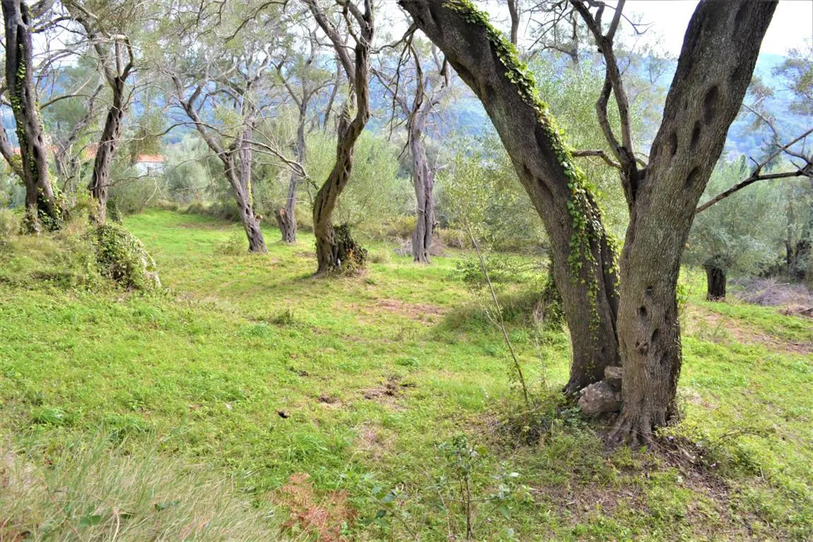 Land Of 3136 M² In Corfu
