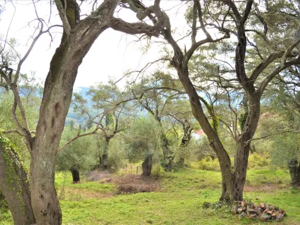 Land Of 3136 M² In Corfu
