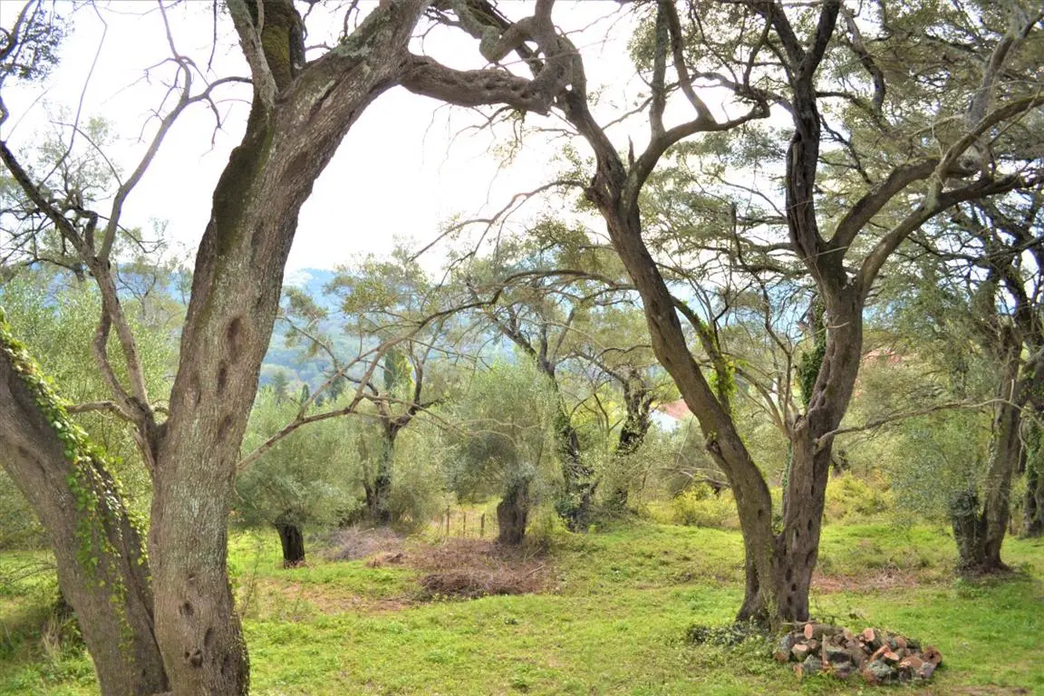 Land Of 3136 M² In Corfu