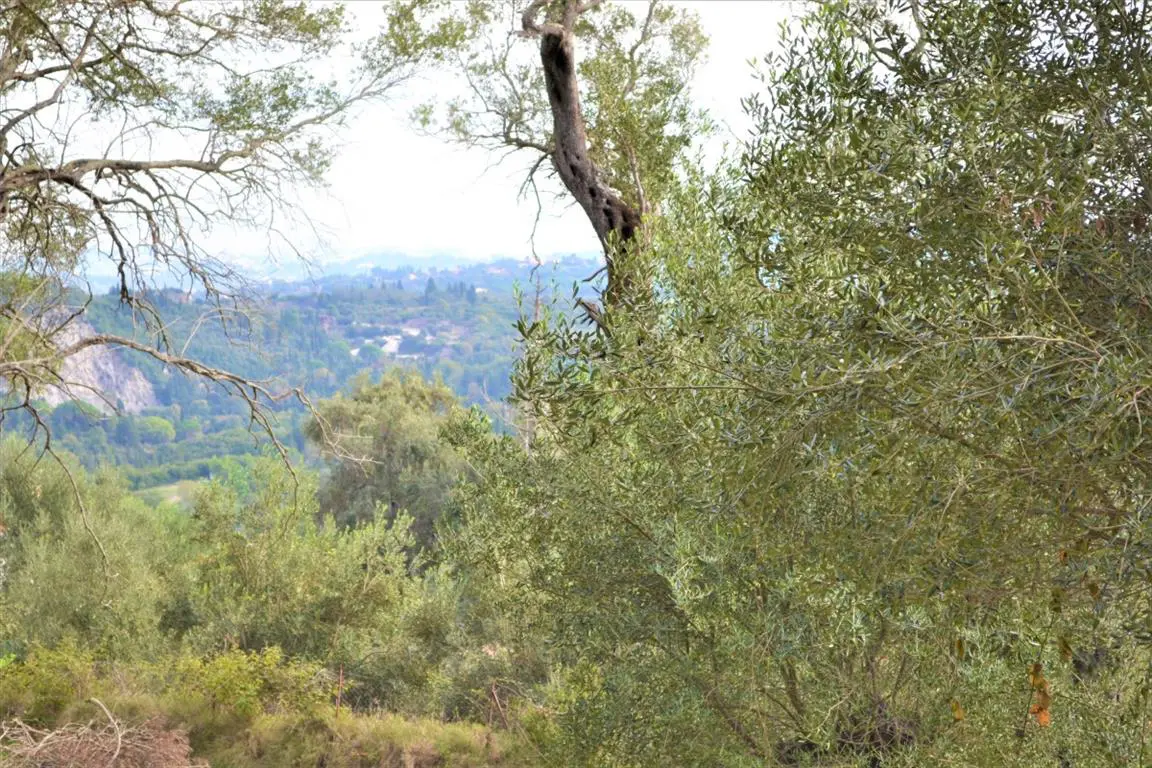 Land Of 3136 M² In Corfu