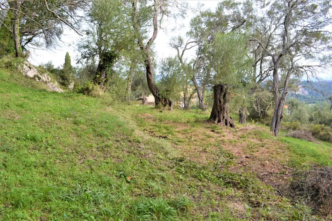 Land Of 3136 M² In Corfu