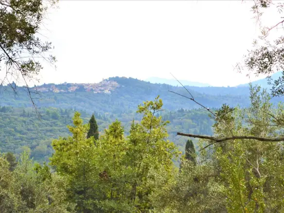 Land Of 3136 M² In Corfu