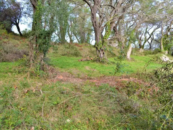 Land Of 3136 M² In Corfu