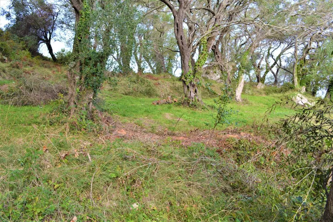 Land Of 3136 M² In Corfu