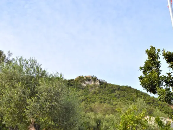 Land Of 3136 M² In Corfu