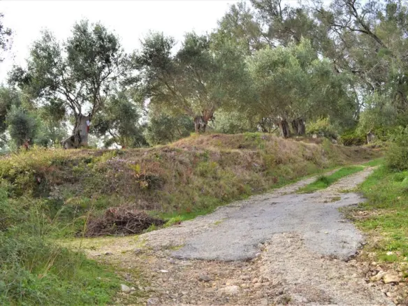 Land Of 3136 M² In Corfu