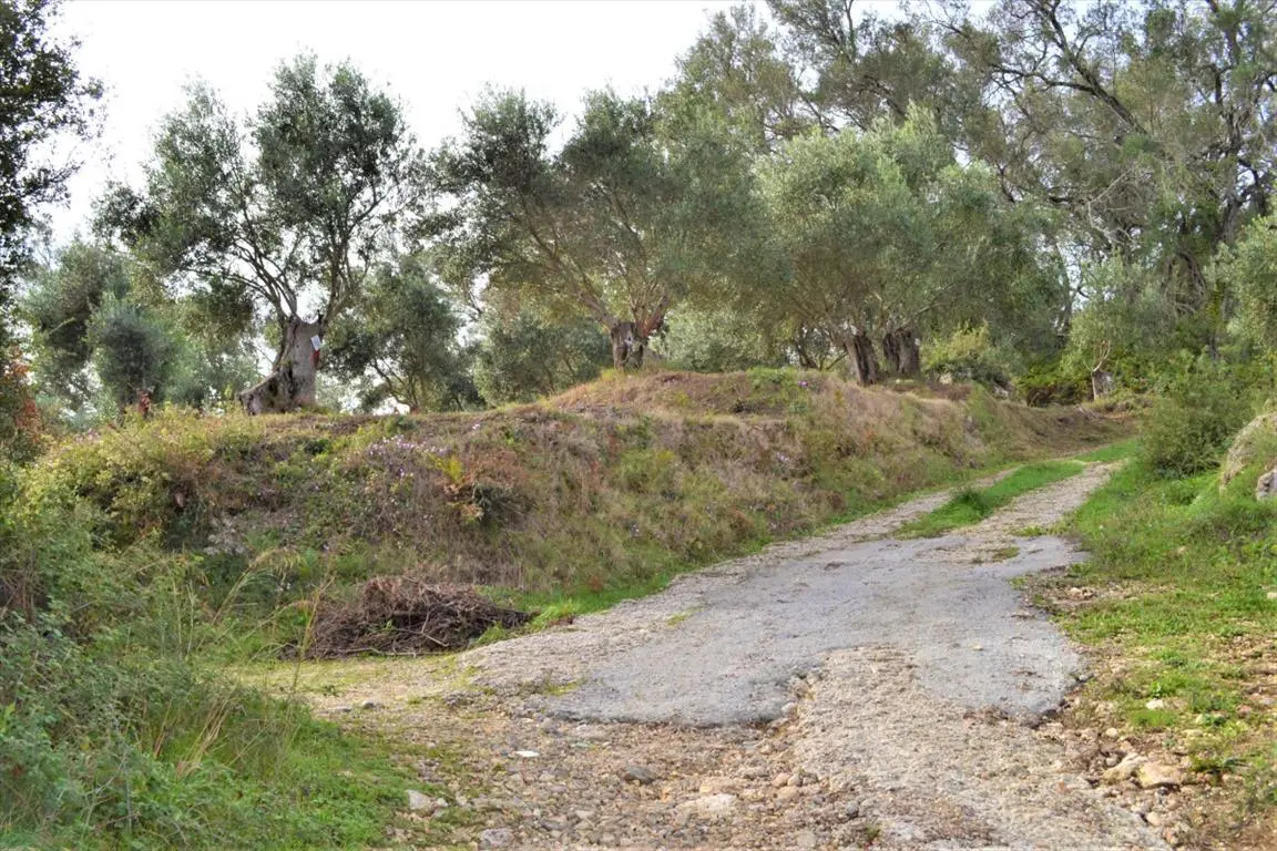 Land Of 3136 M² In Corfu