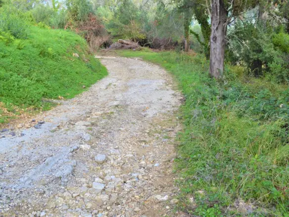 Land Of 3136 M² In Corfu