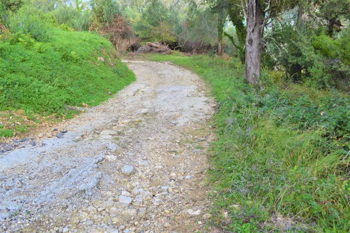 Land Of 3136 M² In Corfu