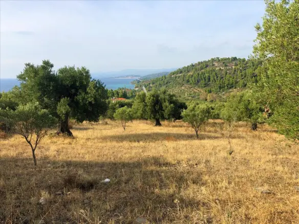 Land Of 4078 M² In Sithonia, Chalkidiki