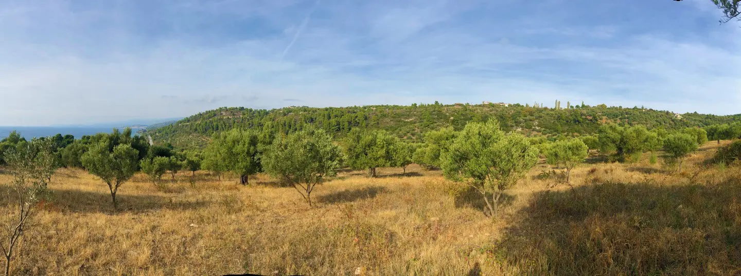 Land Of 4078 M² In Sithonia, Chalkidiki